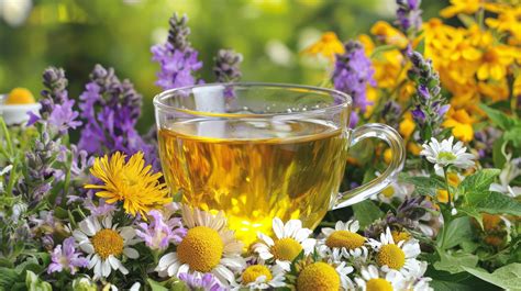 Moters ir vyro rankos, simbolizuojančios paramą nėštumo metu