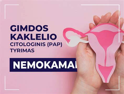 Blastocistos implantacija gimdos gleivinėje
