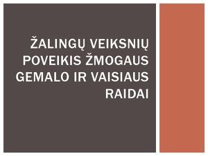 Infografika: žalingi veiksniai gemalo raidai