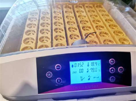 Išmanusis inkubatorius embrionų stebėjimui