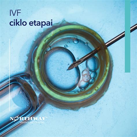 Spermijos ir kiaušialąstės sąveika IVF procedūroje