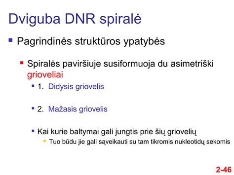 Genetinis DNR spiralės vaizdas
