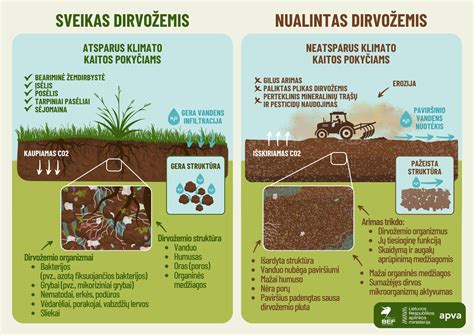 Infografika, iliustruojanti pagrindines dirvožemio naudojimo sritis ir kontraindikacijas.