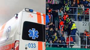 Vyro sveikata ir vaisingumas