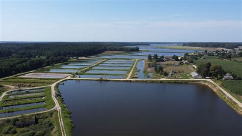 Dirbtinės žuvininkystės ūkis