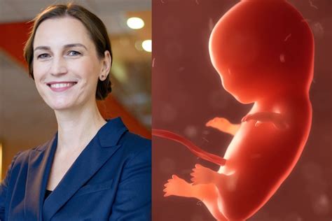 embrionų donorystės procesas