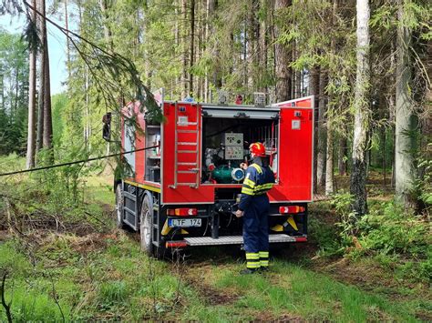 Vaizdinė medžiaga, iliustruojanti miškų gaisrų mastą ir poveikį