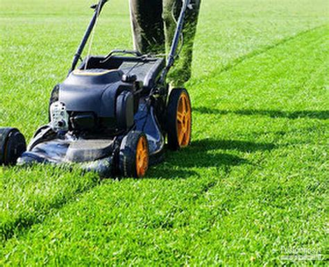 Profesionalus vejos pjovimas ir priežiūra