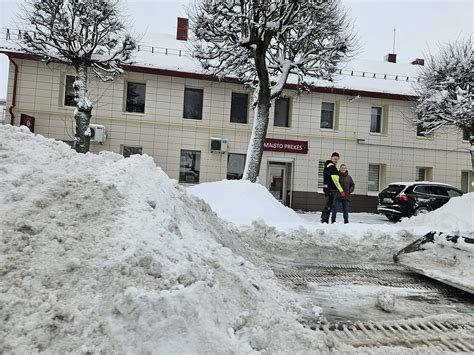 Sniego pusnys gamtoje