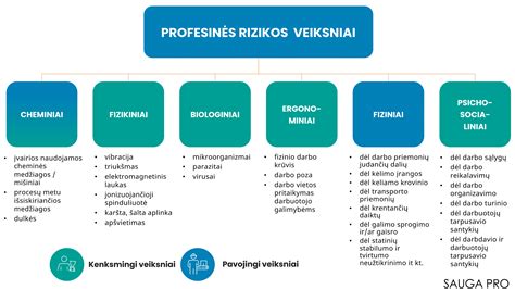 Infografika apie vaisiaus praradimo rizikos veiksnius