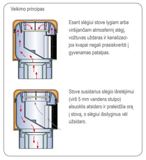 Schematinis antikolinės vožtuvo veikimo principas