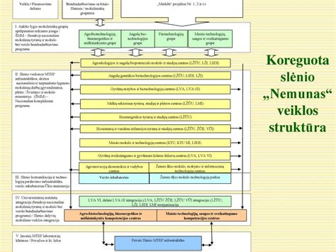 Verslo renginių sektoriaus dalyvių diagrama