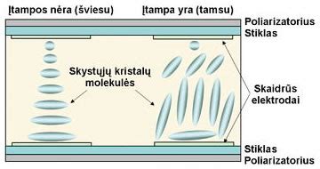 Skystųjų kristalų molekulių orientacija