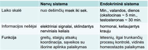 Magnetinės ir mechaninės pasipriešinimo sistemos palyginimas