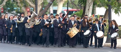 Dromedarių banda dykumoje