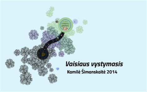 vaisiaus vystymasis 12 savaičių