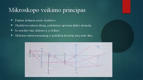 schematinis hormonų veikimo principas