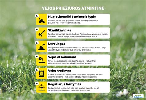 Tręšiama veja pavasarį