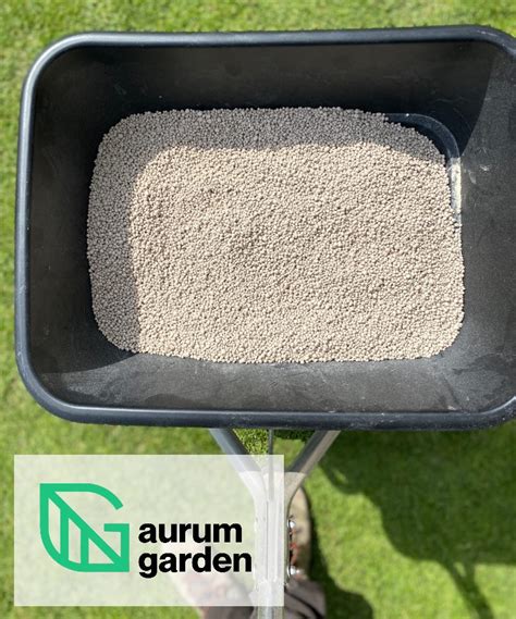 Rudeninė vejos tręšimo schema