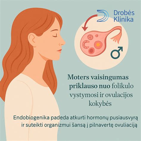 Diagrama, iliustruojanti moters menstruacinį ciklą ir ovuliaciją