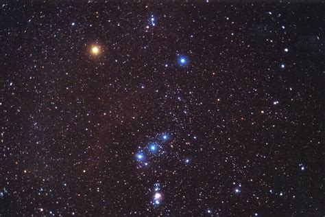 Alpinės žvaigždės augalas