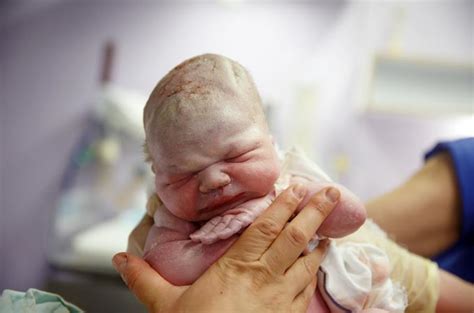 Naujagimio galvos momenėliai