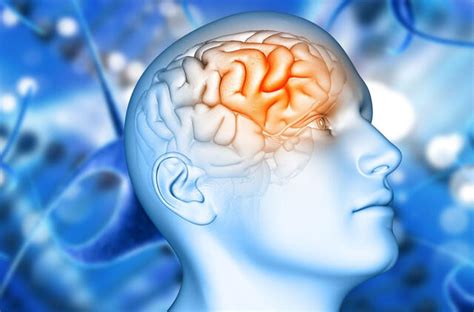 Smegenų struktūros ir neišnešiotumo pažeidimai