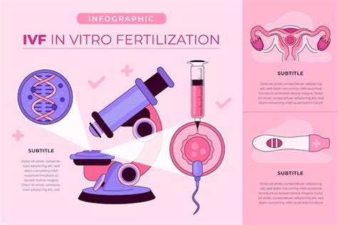 Infografika: IVF procedūros etapai