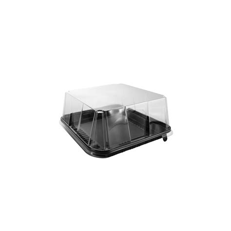 Skaidrus apsauginis nuo lietaus dangtis