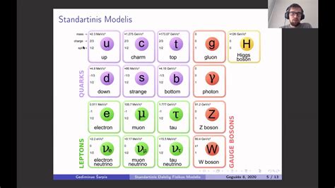 Standartinio modelio dalelių lentelė