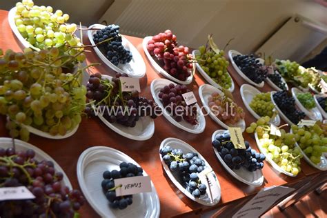 Vynuogių kekės ant stalo