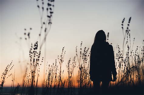 Moters siluetas su pabrėžtais hormonų sistema