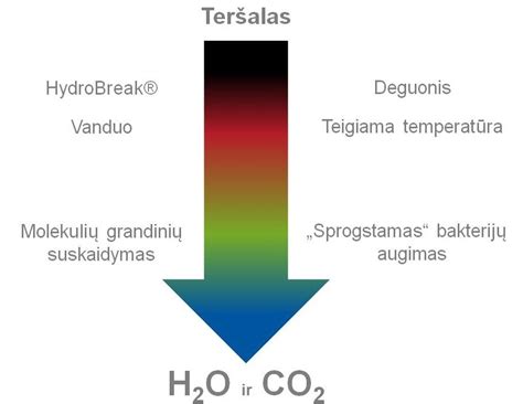 schematinis ultragarso veikimo principas