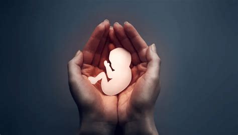 Medicamentinio aborto vaistai