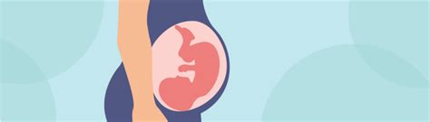 Ultragarsinis vaisiaus matavimas