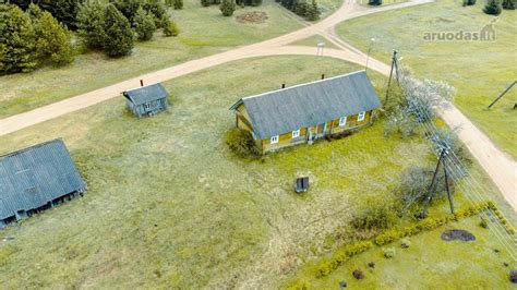 Baobabai Tarangire nacionaliniame parke