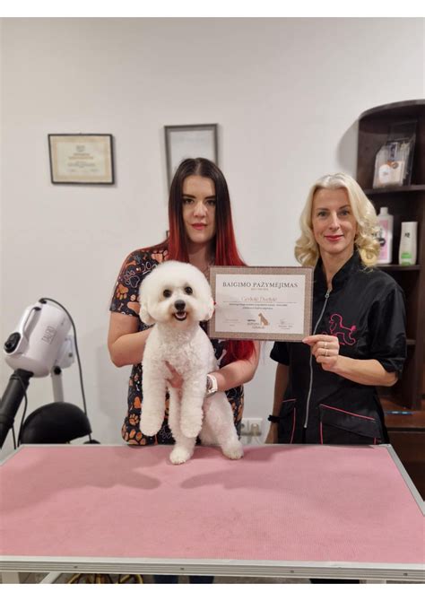 Šunų kailio šukavimas